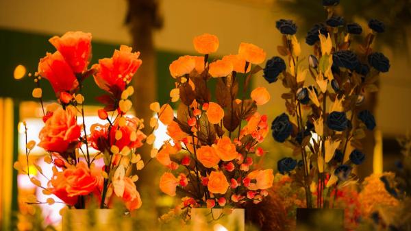 20141208_0315047930_600x338